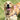 How to Get Your Dog Ready for Longer Spring Walks