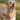 No Pull Dog Harness. Why and When?